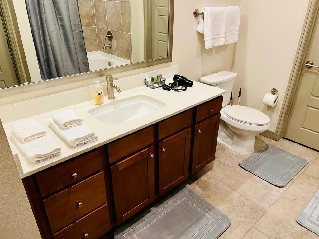 Downtown Apt Free Parking - Pool - Gym - Fully Kitchen هيوستن المظهر الخارجي الصورة